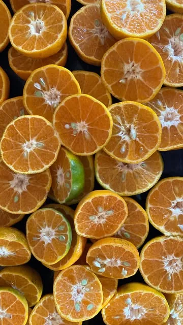 Reel da De Planta