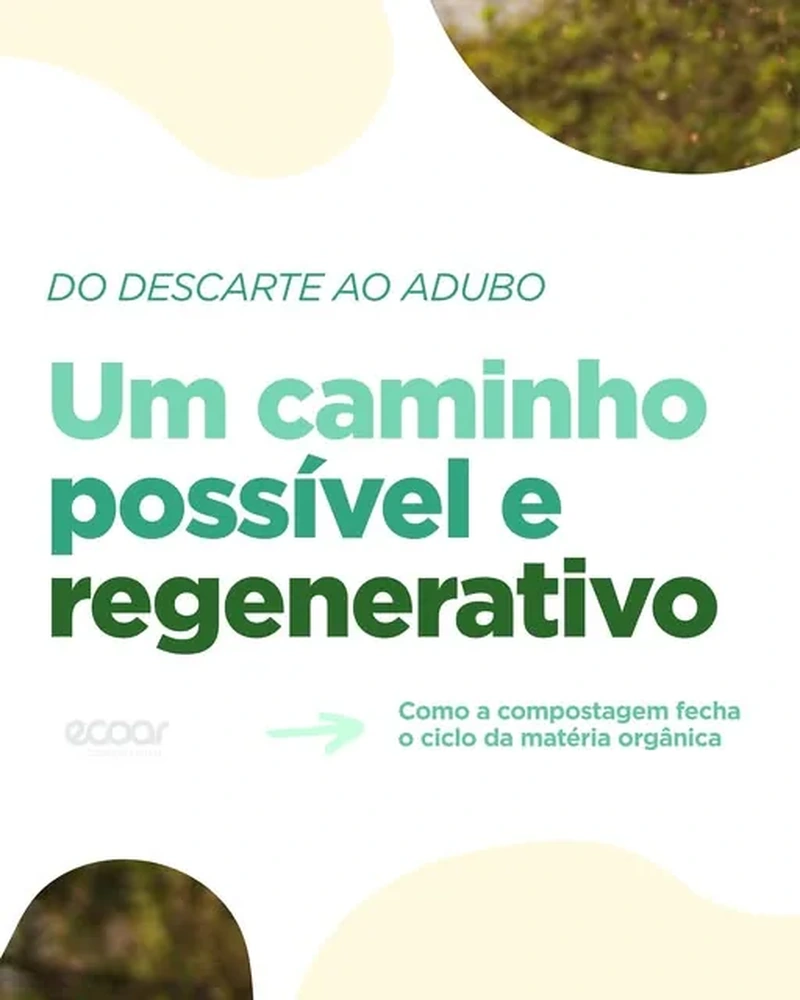 Arte sobre o caminho regenerativo da compostagem