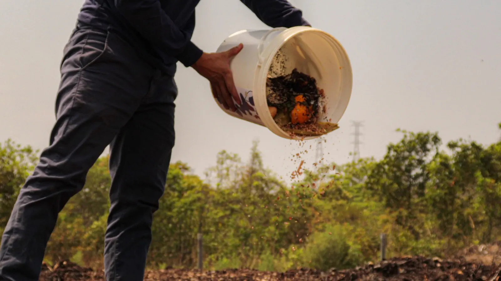 Balde da Ecoar despejando composto orgânico na terra