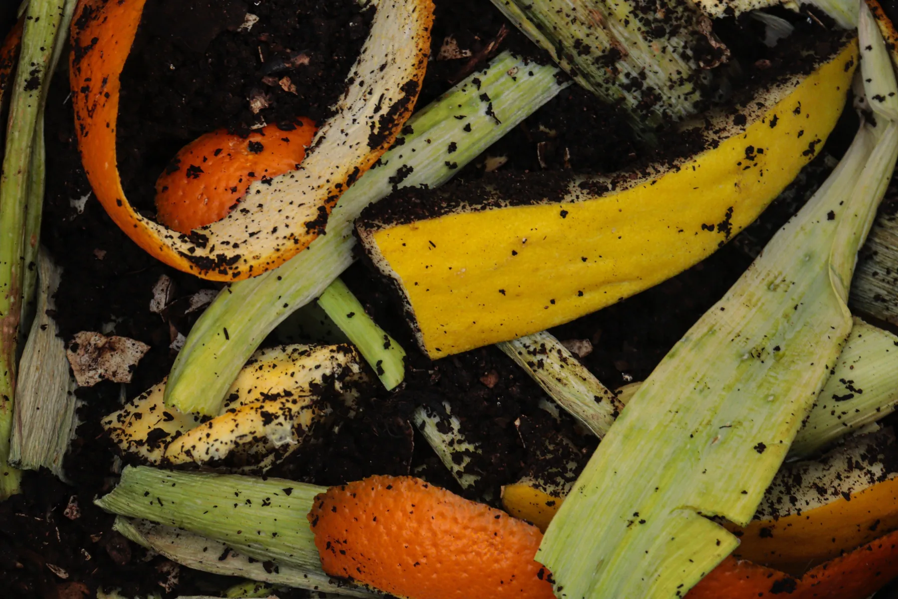 Resíduos orgânicos preparados para compostagem