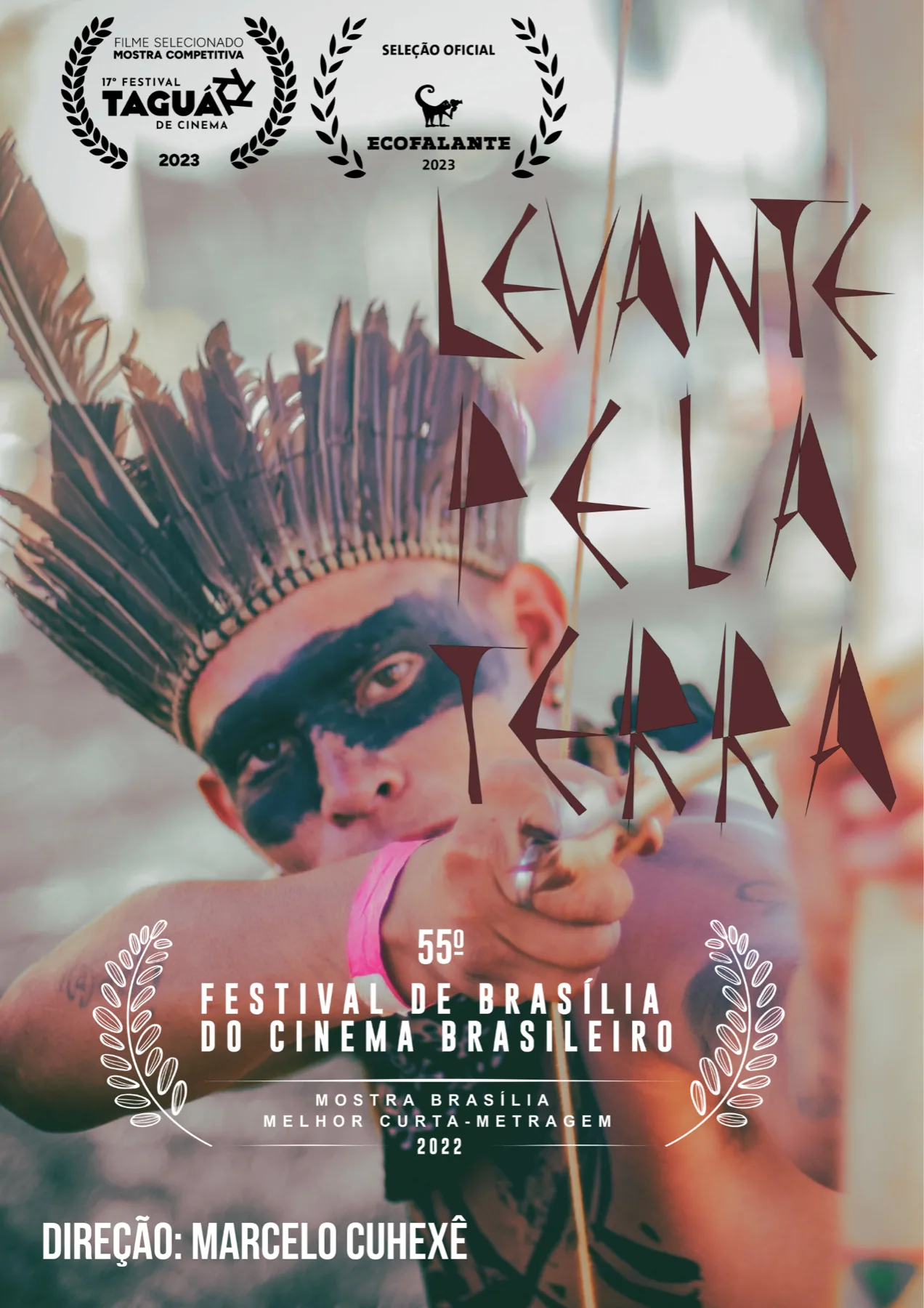 Cartaz do documentário Levante pela Terra